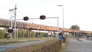 DUTCH RAILROAD CROSSING - Zaandam - Provincialeweg