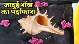 जादुई शंख की ताकत का रहस्य तो देखिए ,The Power Of Magical Conch Shel  Secret Guru Chela Magic,Jadu,