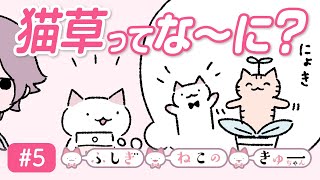 『ふしぎねこのきゅーちゃん』「ねこ好き」#5