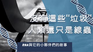 什麼是「垃圾DNA」？RNA與它的小夥伴們的故事(中文cc字幕)