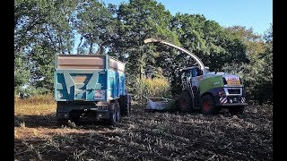 FD CUMA MORBIHAN - Ensilage maïs Shredlage CUMA Scorff 2018