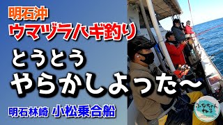 【ウマヅラハギ】難攻不落！低活性 明石沖のウマヅラハギ