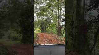 വയനാട്‌ ഫാമിലി ട്രിപ്പ് , vayanadu family trip , യാത്ര , forest, കാട്,