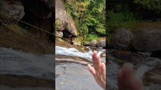 WAYANAD#NATURE#MEENMUTTY#WATERFALL#2024