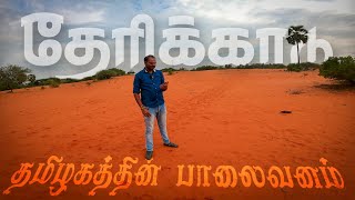 தமிழ்நாட்டில் இப்படி ஒரு பாலைவனமா? Desert in Tamilnadu | தேரிக்காடு | Therikadu | Satz Vlog