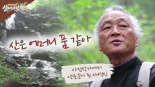 (살어리랏다3) 담양 약초꾼이 된 자연인 사진사 (전남 담양 김기호씨)