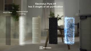 Electrolux Air Purifier- Himalaya Pure A9, 5 step filtration ( PureProtect)