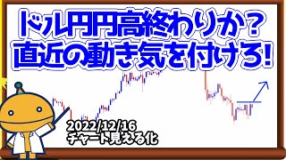 日刊チャート見える化2022/12/16(ドル円、ポンド円、ユーロドル、ポンドドル、ゴールド等)【FX見える化labo】