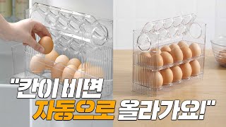 계란 보관 끝판왕의 등장?! ㄷㄷ