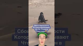 Сбои в Реальности Которые Доказывают Что Мы Живем в Симуляции!🤯 #shorts #кот #баскетбол