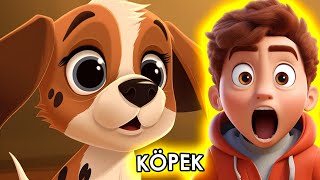 Köpek Sevgisi 🐶 | Hayvanları Sevelim! ❤️ | Eğlenceli ve Öğretici Şarkılar