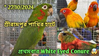 Serampore Pet Market 💥|🔥 Recent Bird Price Update | First Time White Eyed Conure🤯