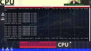 Perl Substitution on multiple files