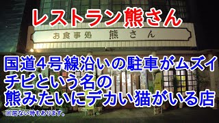 【盛岡市】国道４号線沿いの駐車しにくい店“レストラン熊さん”で、和風なポークピカタナポリタンと“チビという名の熊みたいにデカい猫”に出会う。