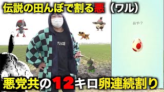 １２キロ卵田んぼ連続割りで新ポケモン狙ったらとんでもない奴が紛れていることが判明【ポケモンGO】