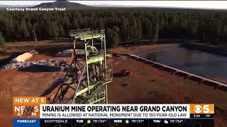 Uranium mine near the Grand Canyon draws outrage from Havasupai Tribe