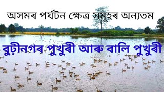 বুঢ়ীনগৰ পুখুৰী আৰু বালি পুখুৰীৰ ঐতিহাসিক ৰহস্য। Beautiful Tourism place of Assam//assam guide