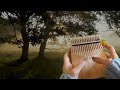 迷いの森 ゼルダの伝説 時のオカリナ カリンバ 初心者 簡単 楽譜 the legend of zelda ocarina of time　kalimba cover 卡林巴 拇指琴