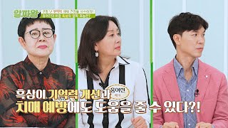 흑삼이 기억력 개선과 치매 예방에 도움을 준다!?(๑°⌓°๑) | TV정보쇼 알짜왕 287회 | JTBC 220901 방송