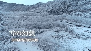 【ドローン映像】雪景色 2023/Snow scene 2023