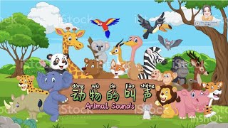 动物的叫声 Animals Sound｜科学｜学前教育