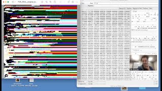 Tutorial: Corrupting Jpegs with a Hex Editor!