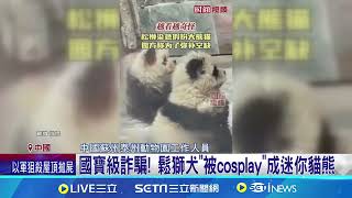 動物園驚現\