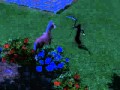 The Sims 3 Pets - My Horse Died :(