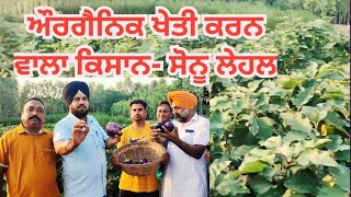 ਔਰਗੈਨਿਕ ਖੇਤੀ ਕਰਨ ਵਾਲਾ ਸੋਨੂ ਲੇਹਲ। Organic Farmer Punjab | a story of punjab organic farmer |#farmer