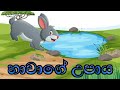 හාවාගේ උපාය  Rabbit' Story /kids story / lama kathandara / fairy story / folk story