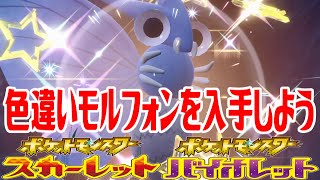 【ポケモンSV】色違いモルフォンを入手しよう【ポケットモンスター スカーレット・バイオレット】Pocket Monsters