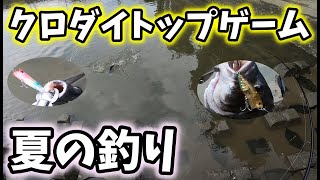 【チヌ　クロダイ】トップウォーターゲーム