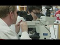 Researching the Coronavirus and Other Emerging Pathogens at Penn Medicine