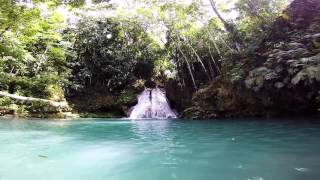 Cliff Jumping Irie Blue Hole Ocho Rios, Jamaica  Australia and Florida Collide