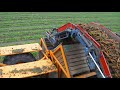 asa lift t 255 df carrot harvester