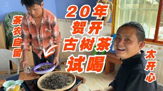 好茶都自己喝？贺开茶农自留20年古树茶，老高一听想全部拿下！#普洱茶 #茶 #茶叶 #品茶 #喝茶 #云南普洱 #买茶