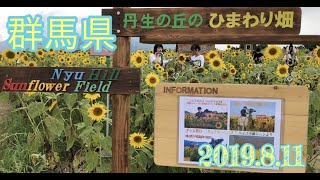 【群馬県】丹生の丘のひまわり畑　2019.8.11