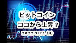 仮想通貨 ビットコインBTC週足チャート分析！ココから上昇始まる？