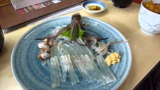 イカの踊り食い　Eating squid alive in hakodate japan