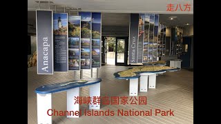 海峡群岛国家公园 (Channel Islands National Park) 走八方 第38期 zou ba fang