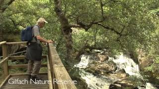 The best UK Holiday visit Rhayader and the Elan Valley