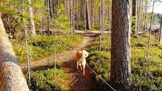 Manamansalo Oulujärvi.