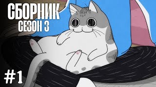 [VoiceLand] ВЕЧЕРА С КОШКОЙ 3 СЕЗОН (РУССКАЯ ОЗВУЧКА) | [СБОРНИК 1-5]