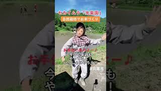 【自然栽培】田植え編　いっしょに楽しもうー♡土に触れると癒されるよ✨