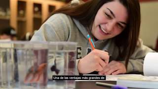 About Washington College & A Liberal Arts Education w/Spanish Captions