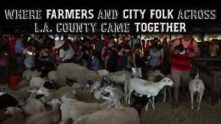 Inside the L.A. County Fair Assn.