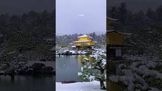 雨中的伏见稻荷大社 不可错过的美景 嘿 朋友们 旅游 日本旅行 日本京都 京都旅行  京都遥遥 一场大雪带来的美景 雪中金阁 京都 金阁寺 雪 #中日翻译 #旅行团 #日本地接 #日本地陪 #日本地接