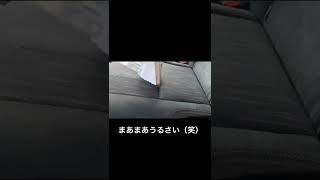 車内丸洗いその2/リンサークリーナー