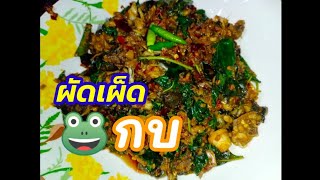 ผัดเผ็ดกบ [ครัวบ้านนา Ep12]