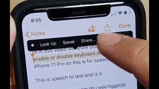 iPhone 11 Pro: How to Speak / Read Aloud Selected Text